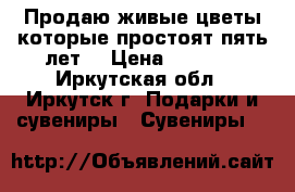 Продаю живые цветы которые простоят пять лет. › Цена ­ 2 500 - Иркутская обл., Иркутск г. Подарки и сувениры » Сувениры   